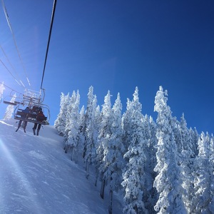 Fundraising Page: Jessica rone